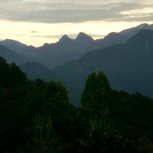 Jungle daybreak, photo taken by my friend Kerrissa